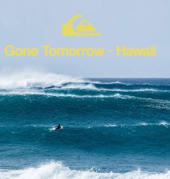 Gone Tomorrow - Hawaii